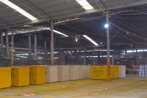 建筑模板廠廣西多層膠合板木方