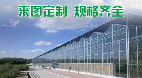 千宏溫室工程 圖 蔬菜溫室大棚廠(chǎng)家 蔬菜溫室大棚