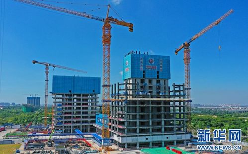 海南省2024年建設工程安全文明施工暨建筑垃圾減量化觀摩會在海口成功舉行 聚焦園林景觀工程設計新實踐